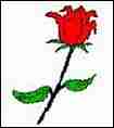 Image of a rose